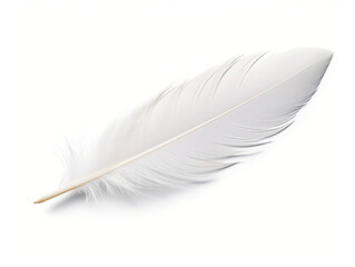 feather isolated on transparent background, transparency image, removed background