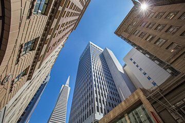 Fototapeta na wymiar Urban Giants: San Francisco Downtown Skyscrapers in 4K Ultra HD Resolution 