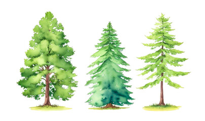 Fototapeta premium Watercolor Set Of Green Trees Isolated On White. Simple flat forest flora, Different coniferous tree