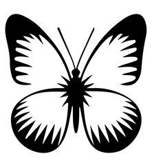 black and white butterfly tattoo