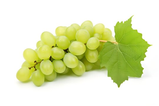 Bunch of green grapes with leaf isolated on white background. Summer fruit concept. Design for banner, poster. Healthy food
