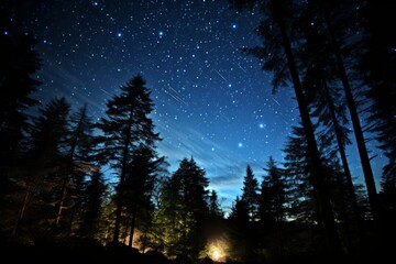 Fototapeta na wymiar Campfire in forest, electric blue sky filled with stars, midnight atmosphere
