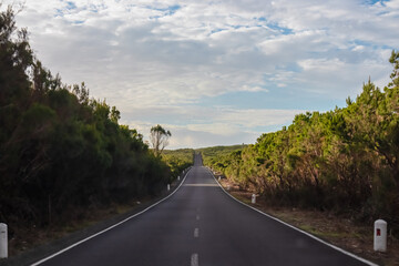 Scenic view of endless long road on mountain plateau Paul da Serra in Ponta da Sol, Madeira island, Portugal, Europe. Epic road trip concept. Freedom emotion. Driving along remote vast shrub land