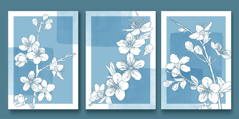 Blue, white watercolor soft backgrounds with hand drawn cherry blossoms, branches, sakura flowers. Gift cards, weddind, branding, cover template. © olechkaart