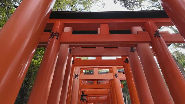 japanese shrine kyoto country
