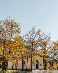 Avantas village in Evros region Greece, beautiful autumn colors
