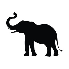 Obraz premium Elephant Silhouette
