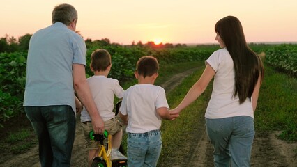Mother talks to son while father supports younger boy riding bicycle against sunset. Son rides bicycle with father brother brother walking hand in hand with mother on plantation. Summer joint vacation