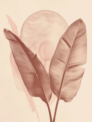 A detailed drawing of two leaves, one oak and one maple, displayed on a plain white background.
