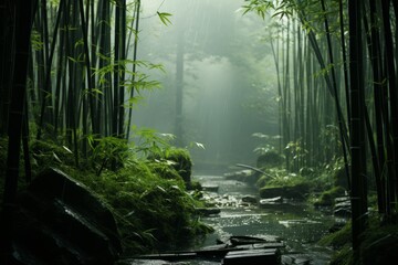 there is a river in the middle of a bamboo forest