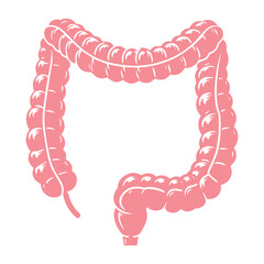 Human Intestines Anatomy