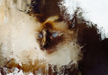 Gato en Oleo