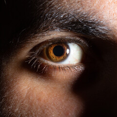 intense macro of brown human eye with detailed iris