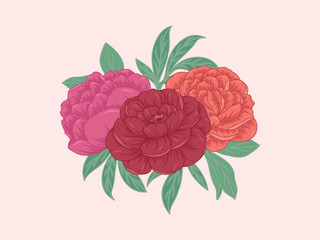Peony Bouquet Illustration