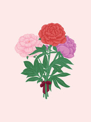 Peony Bouquet with Ribbon Illustration