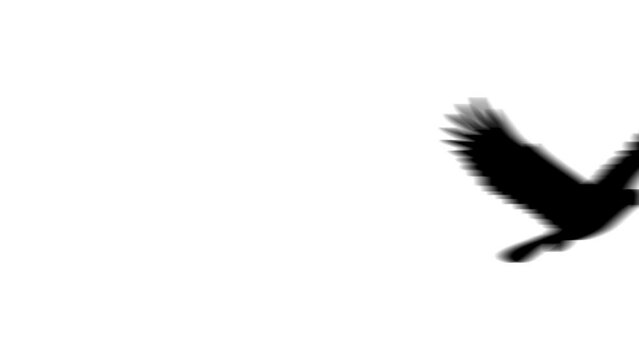 Animation set, eagle symbol. Animations: transparency, zooms, transition top to down, transition left to right, slide up to down, slide left to right
