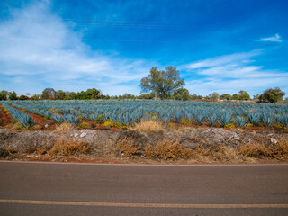 carretera