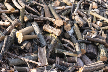 Close view of a pile of firewood