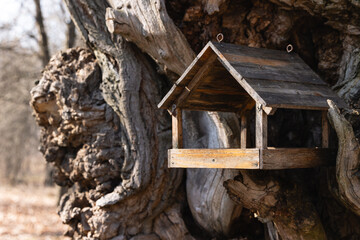 Fototapeta premium Birdhouse in a tree trunk