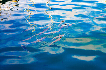 Deeply processed photos with fish silhouettes. Glare on the water and reflections of sunlight....