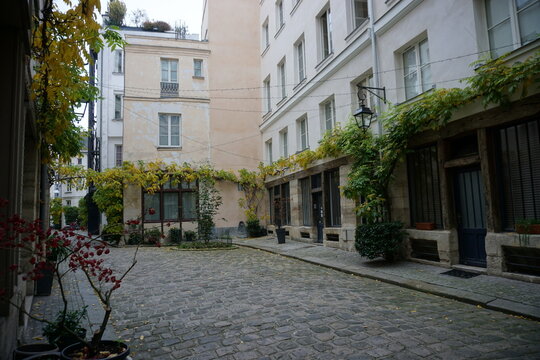 small cobblestone street with green vines  in downtown paris, france