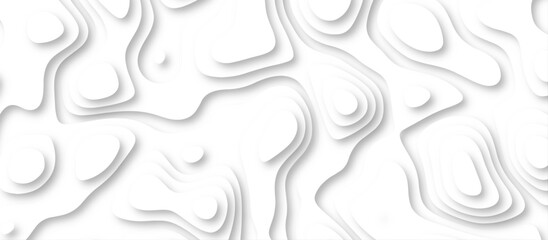 3d render, abstract white paper background. Paper cut vector art background banner texture. multi layer cutout geometric pattern on vector, Abstract soft white background with waves.