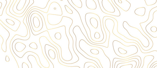 abstract golden wave paper curved reliefs background. Topography map pattern, Geographic curved, vector illustration. seamless textrue, vintage waves. Panorama view multicolor wave curve line.