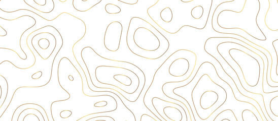 abstract golden wave paper curved reliefs background. Topography map pattern, Geographic curved, vector illustration. seamless textrue, vintage waves. Panorama view multicolor wave curve line.