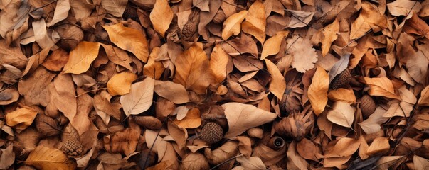 Dry leaves and twigs are scattered around on the ground, large scale, top view, detailed texture.