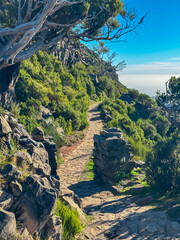 Scenic paved hiking trail to mountain peak Pico Ruivo, Madeira island, Portugal, Europe. Path made...