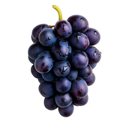 Luscious Concord Grape Cluster - Vibrant Gourmet Food Photography for Winery, Vineyard, and Healthy Lifestyle Branding - Isolated on a Transparent Background