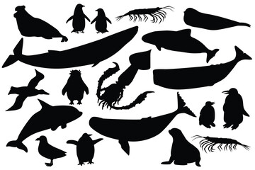 Vector silhouett shape black set of animals in Antarctica. Hand drawn collection of whales, penguins, skua, krill, seals, porpoise.