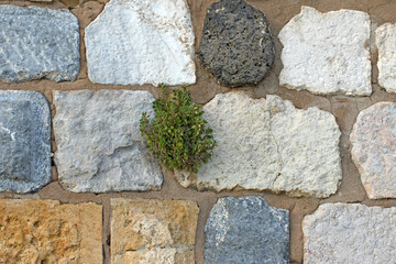 Texture of the wall of a medieval  castle in eastern Mediterranean Sea coastal zone