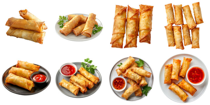 Fried spring roll png collection set no background for decoration.