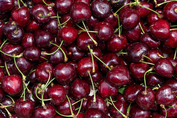 Realistic view of red cherries with all their textures and imperfections, against a red background, showcasing natural beauty