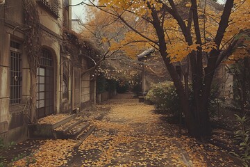 autumn in the city