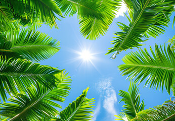 Sunburst through fresh green palm fronds against a bright blue sky