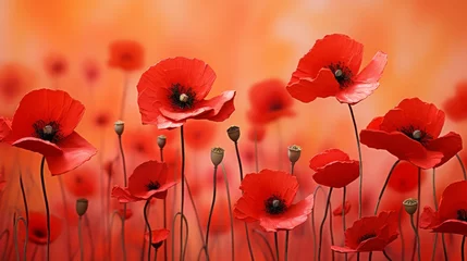 Gordijnen Vibrant Red Poppy Meadow © Muhammad