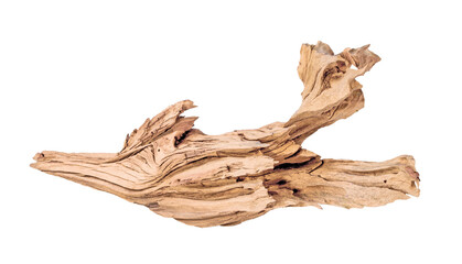 Mangrove driftwood for decorating an aquarium with a rough texture on a light background