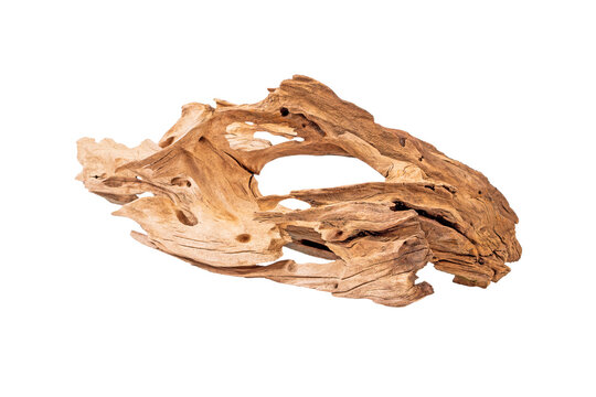Mangrove driftwood for decorating an aquarium with a rough texture on a light background