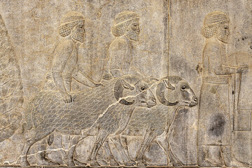 Iran. Persepolis, an ancient capital of the Achaemenid Empire (UNESCO). Apadana Palace, East Stairs, Southern part - the relief depicting a procession of Syrians bringing tribute to the king