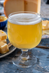 Cheese collection, Dutch ripe hard chees made from cow milk in the Netherlands in cubes and glass of beer