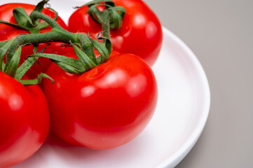 Red ripe tasty Dutch tomatoes growing indoor in greenhouse all seasons, food industry in Netherlands close up