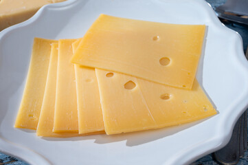 Cheese collection, Dutch ripe hard chees made from cow milk in the Netherlands in piece and sliced