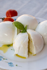 Cheese collection, white balls of soft Italian cheese mozzarella, served with olive oil, tomatoes, fresh basil leaves