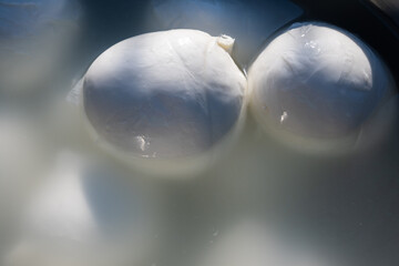 Cheese collection, many white balls of soft Italian cheese mozzarella, on organic cheese farm, Latina, Italy