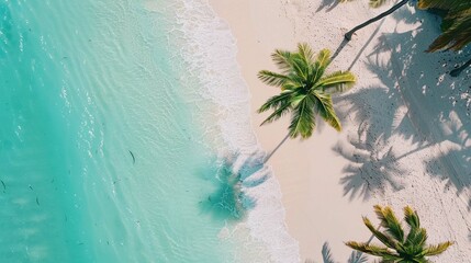 Beach Paradise Soft white sand with palm tree