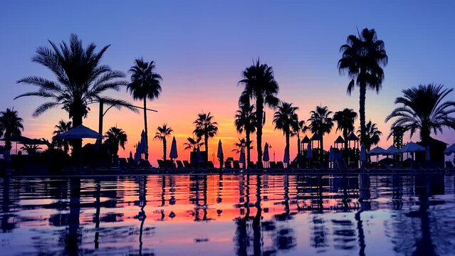 water sunset reflection palm tree