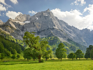 Fototapeta na wymiar Großer Ahornboden, Karwendelkette, Tirol, Österreich