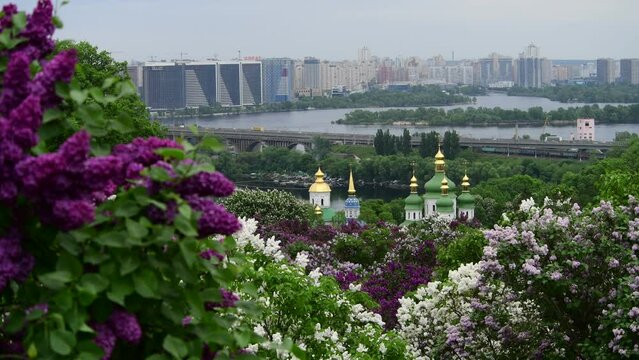 Nice 4k video of lilac garden at spring time in Kyiv, Ukraine Trinity Monastery of St. Jonas Kiev Ukraine travel Europe spring in lilac flowers